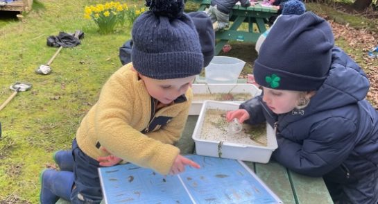 pond dipping